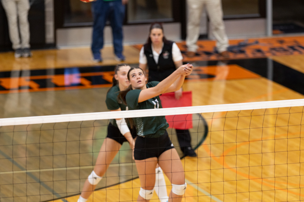 %_tempFileName1M6A6410%