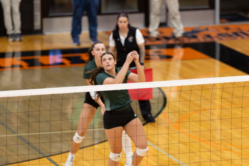 %_tempFileName1M6A6411%