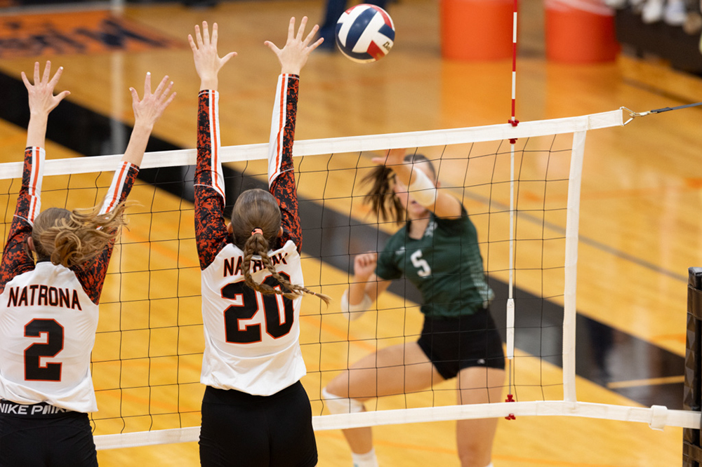 %_tempFileName1M6A6419%