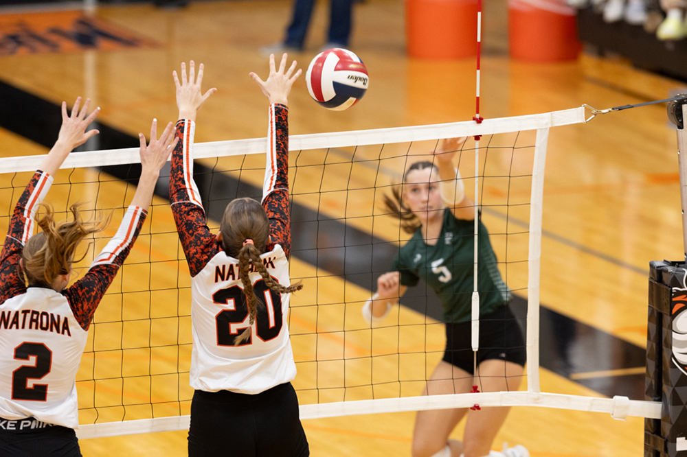 %_tempFileName1M6A6421%