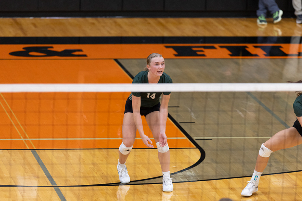 %_tempFileName1M6A6423%