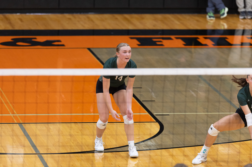 %_tempFileName1M6A6424%