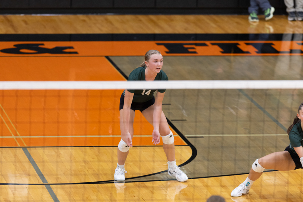 %_tempFileName1M6A6427%