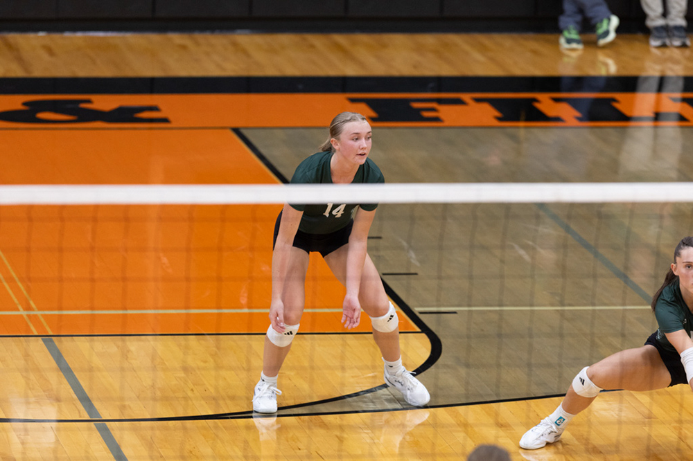 %_tempFileName1M6A6428%