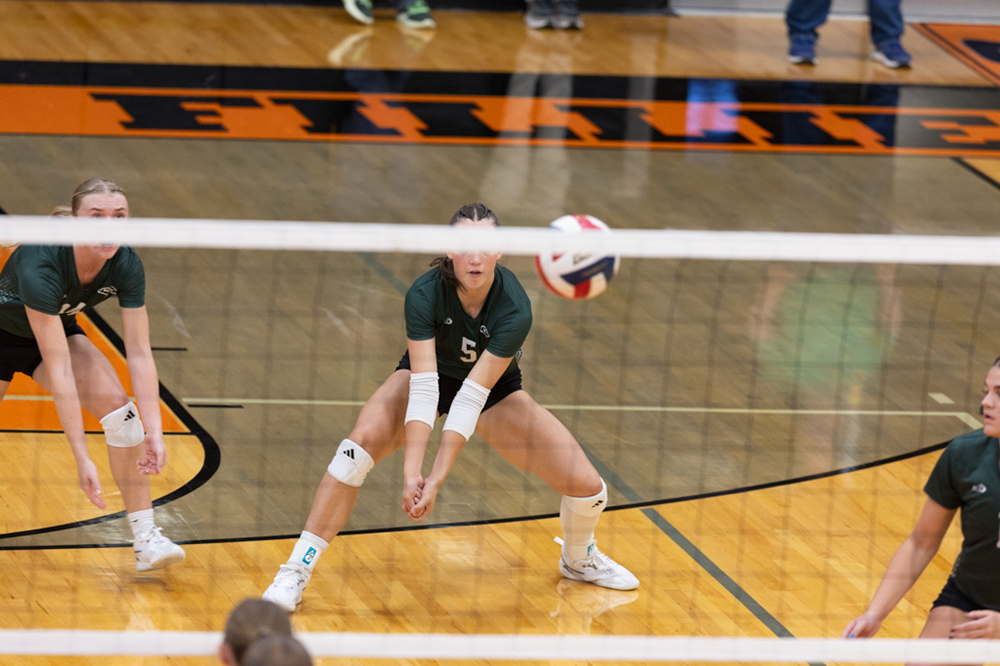 %_tempFileName1M6A6434%