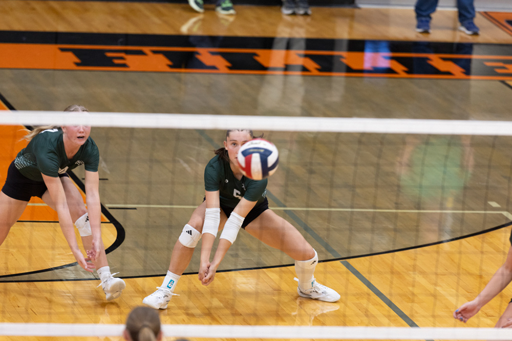 %_tempFileName1M6A6435%