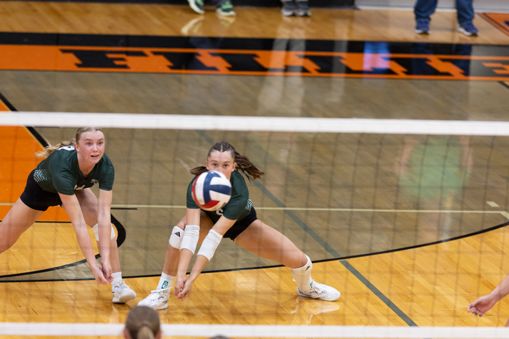 %_tempFileName1M6A6436%