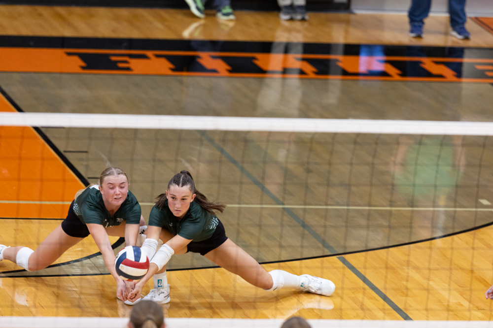 %_tempFileName1M6A6438%