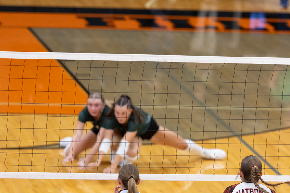 %_tempFileName1M6A6441%