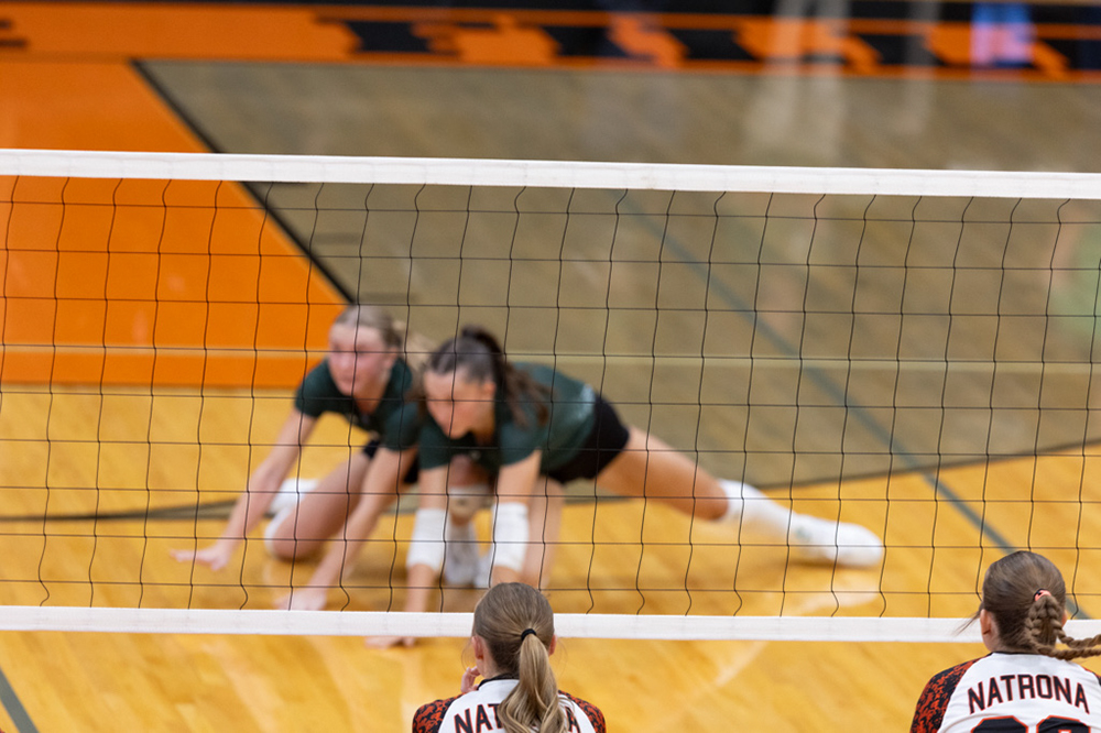 %_tempFileName1M6A6442%