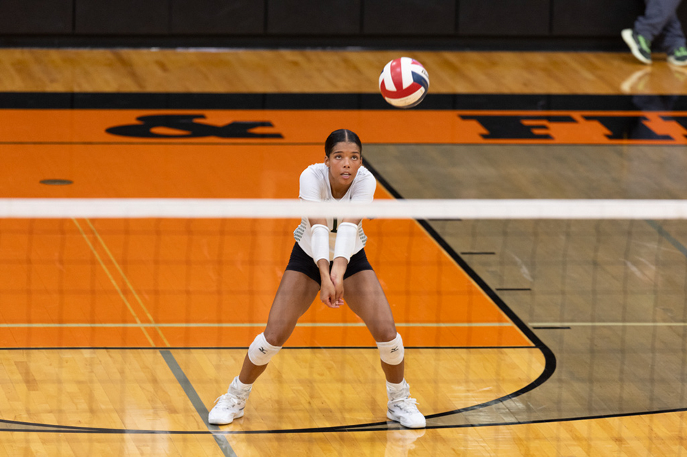 %_tempFileName1M6A6446%