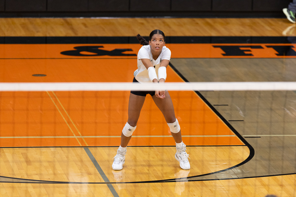 %_tempFileName1M6A6451%