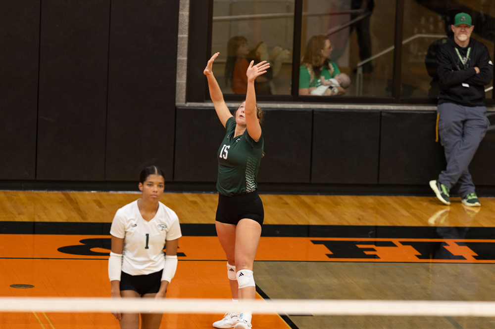 %_tempFileName1M6A6455%