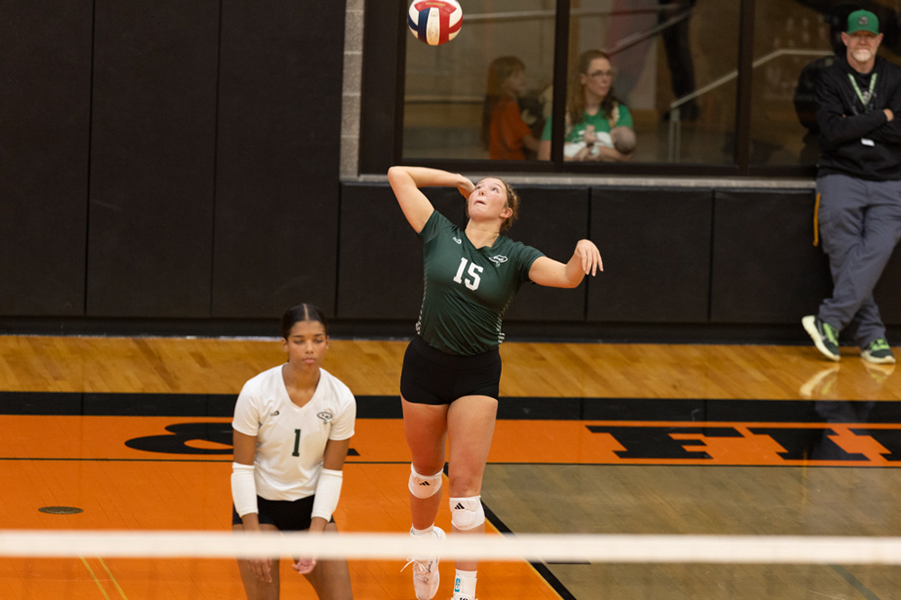 %_tempFileName1M6A6461%