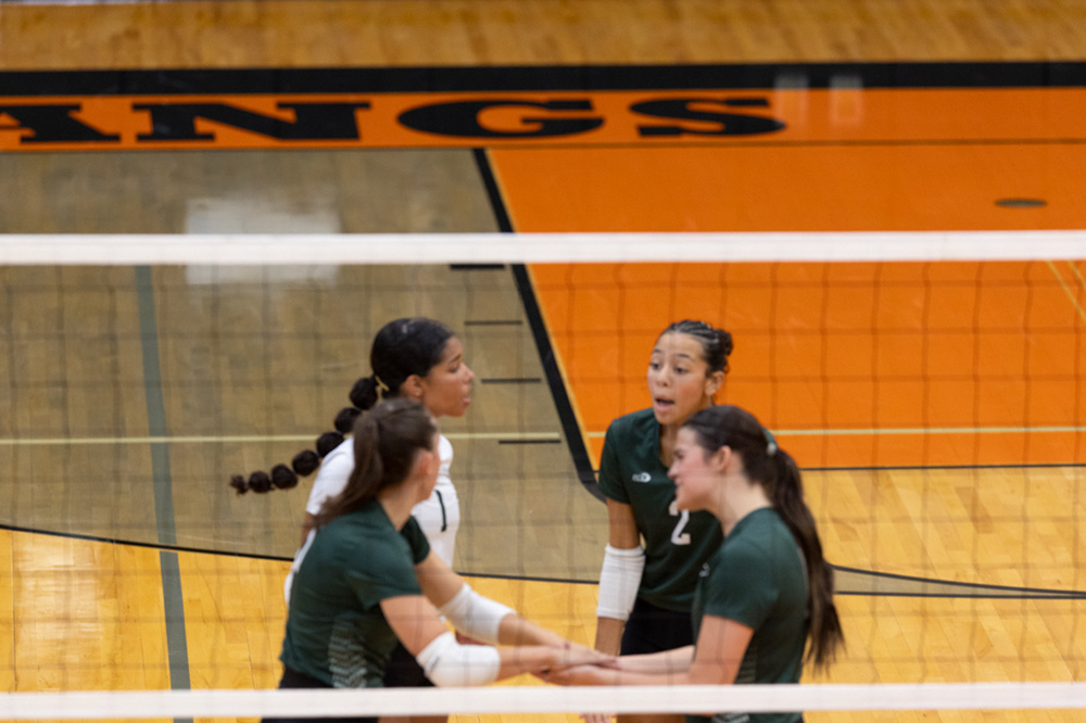 %_tempFileName1M6A6468%