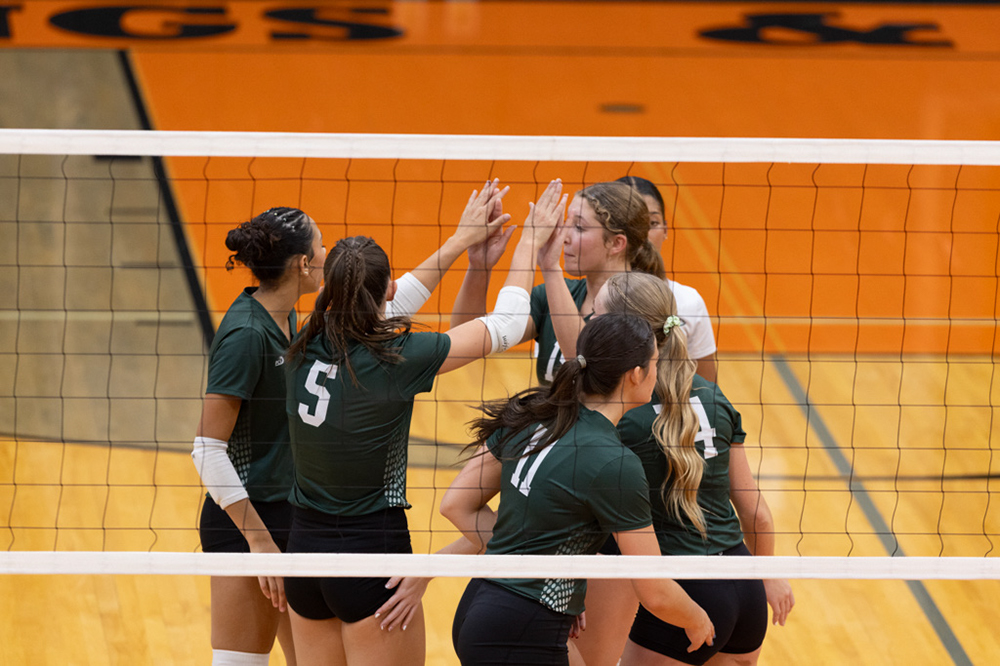 %_tempFileName1M6A6487%