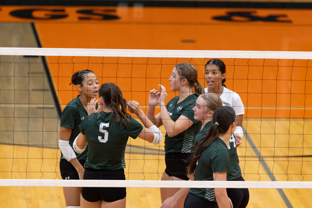 %_tempFileName1M6A6491%