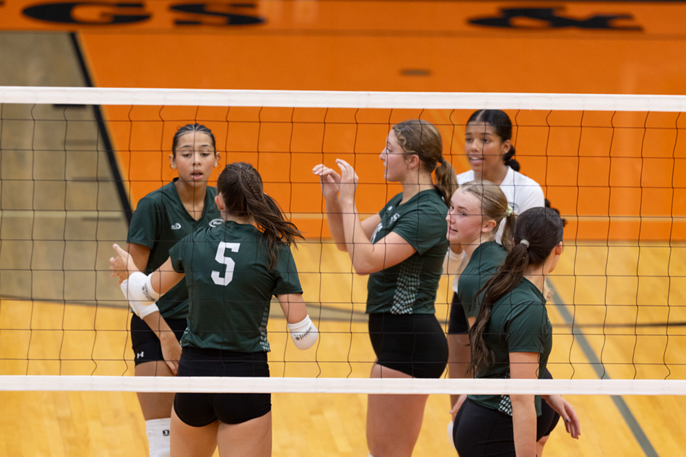 %_tempFileName1M6A6493%