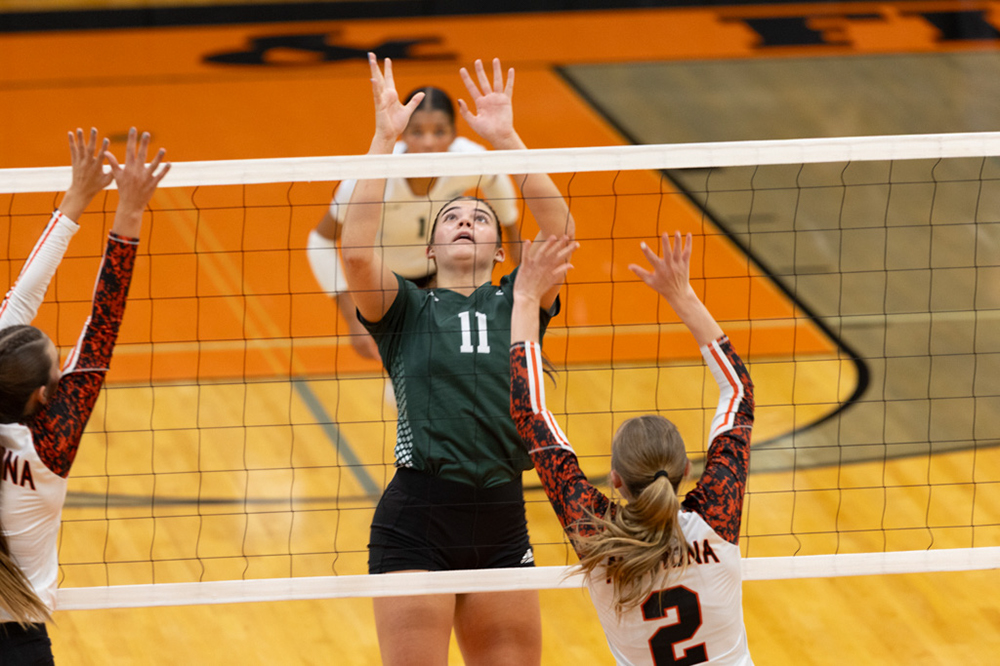 %_tempFileName1M6A6495%