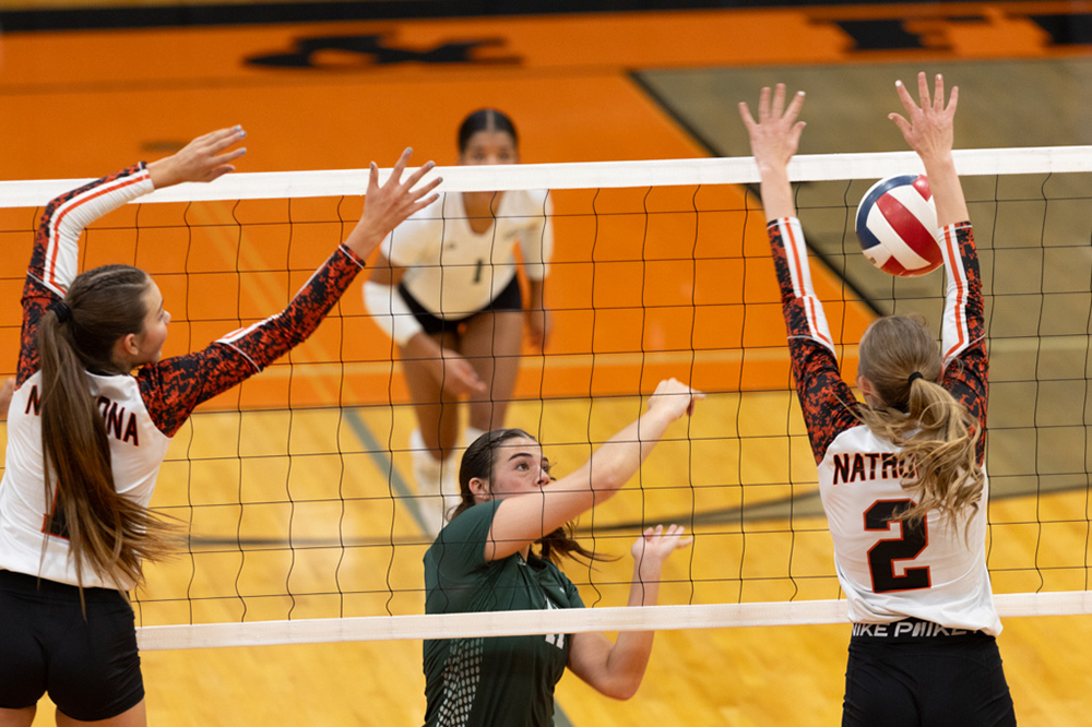 %_tempFileName1M6A6499%