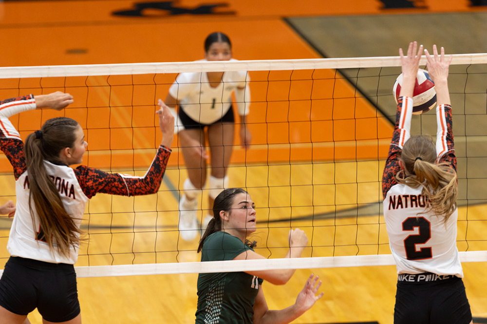 %_tempFileName1M6A6500%