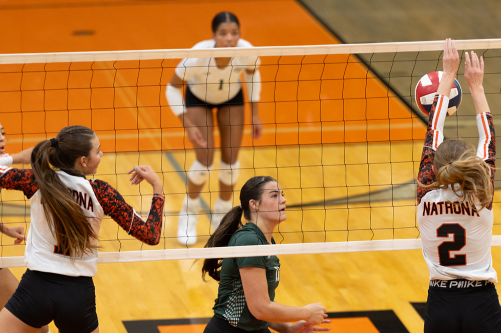 %_tempFileName1M6A6501%