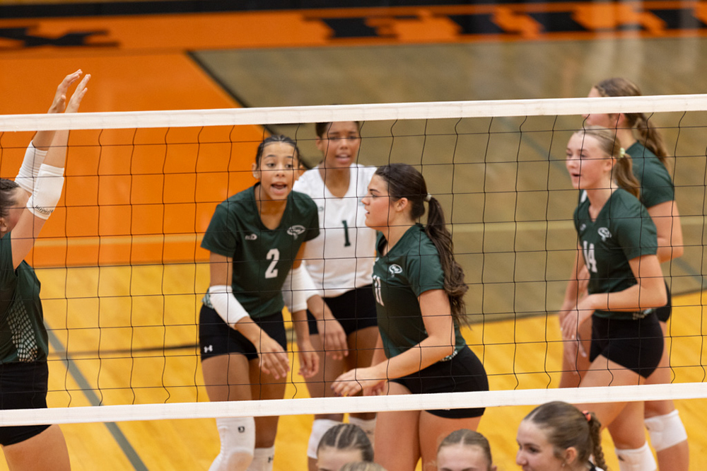 %_tempFileName1M6A6528%