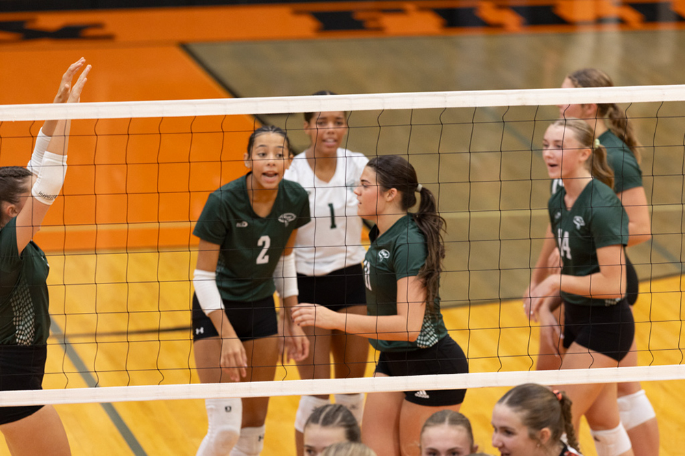 %_tempFileName1M6A6529%