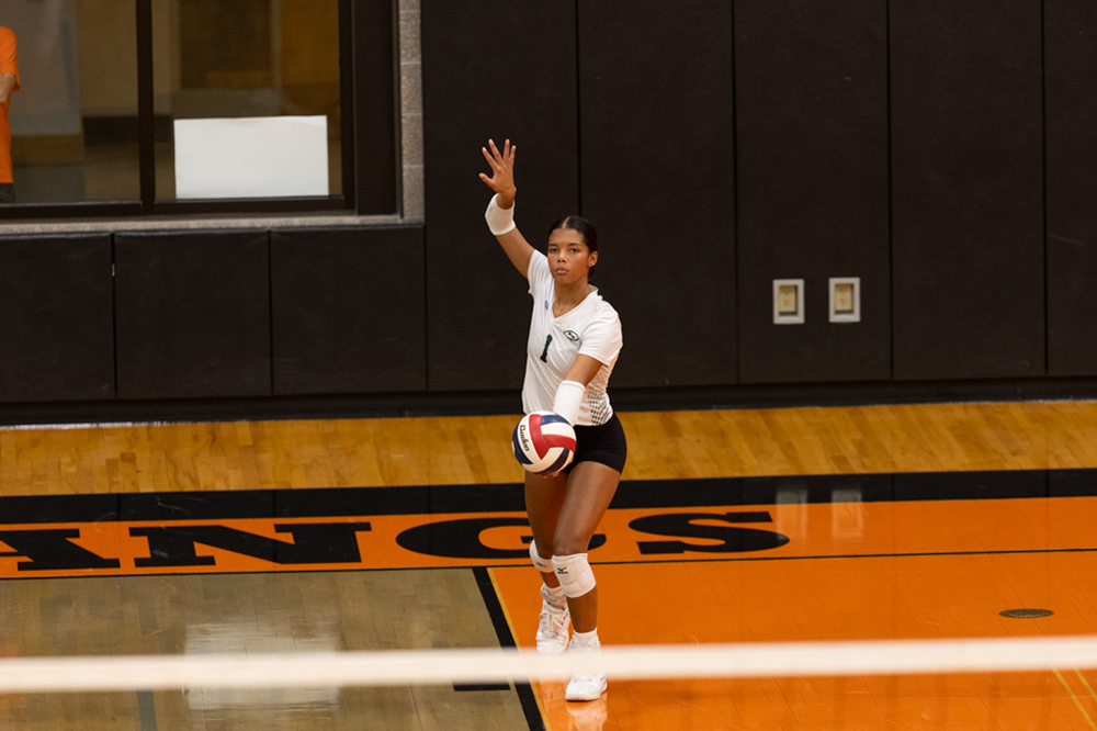 %_tempFileName1M6A6531%