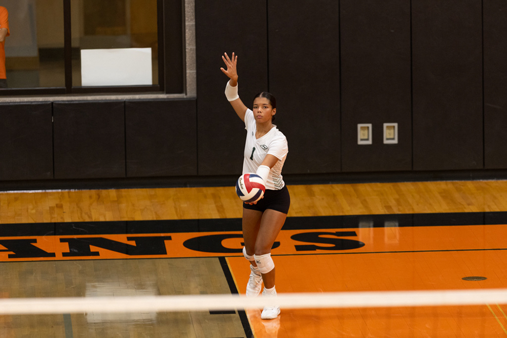 %_tempFileName1M6A6532%