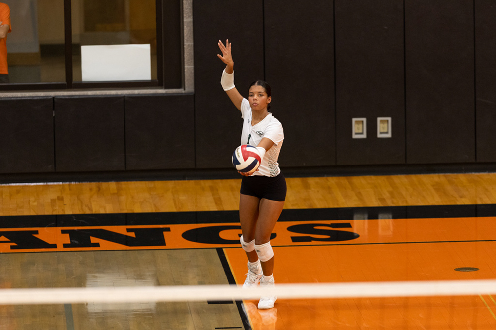 %_tempFileName1M6A6533%