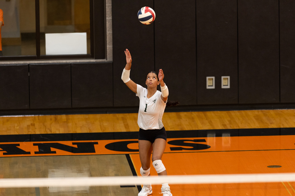 %_tempFileName1M6A6535%