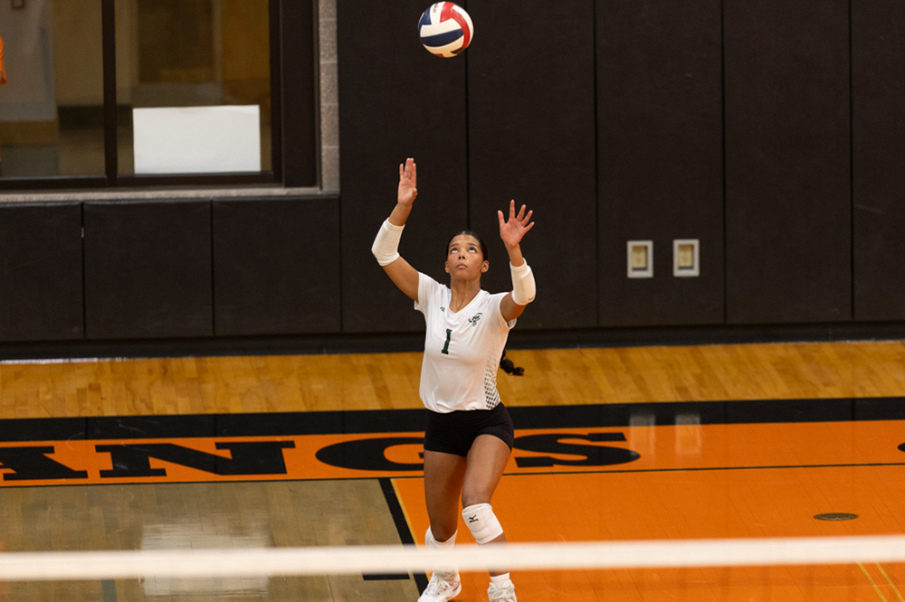 %_tempFileName1M6A6536%