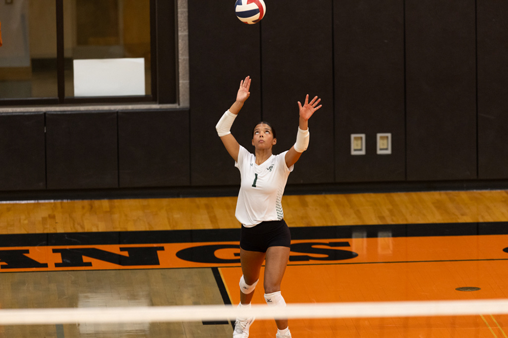 %_tempFileName1M6A6537%