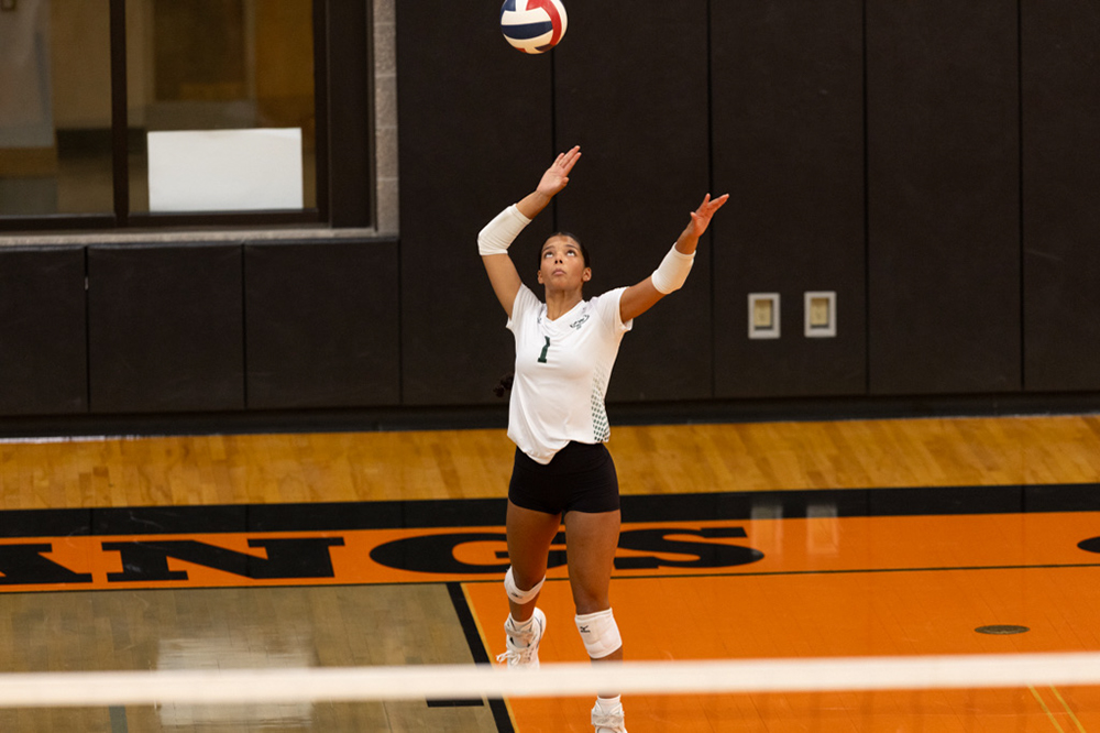 %_tempFileName1M6A6538%