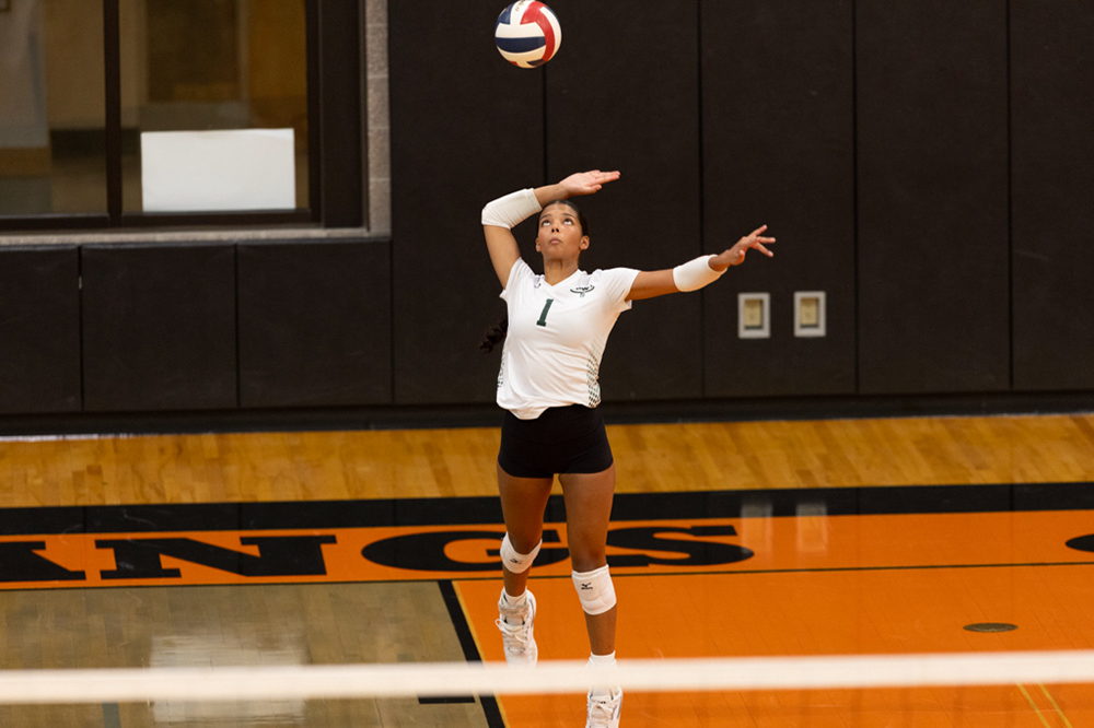 %_tempFileName1M6A6539%