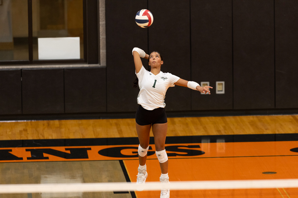 %_tempFileName1M6A6540%