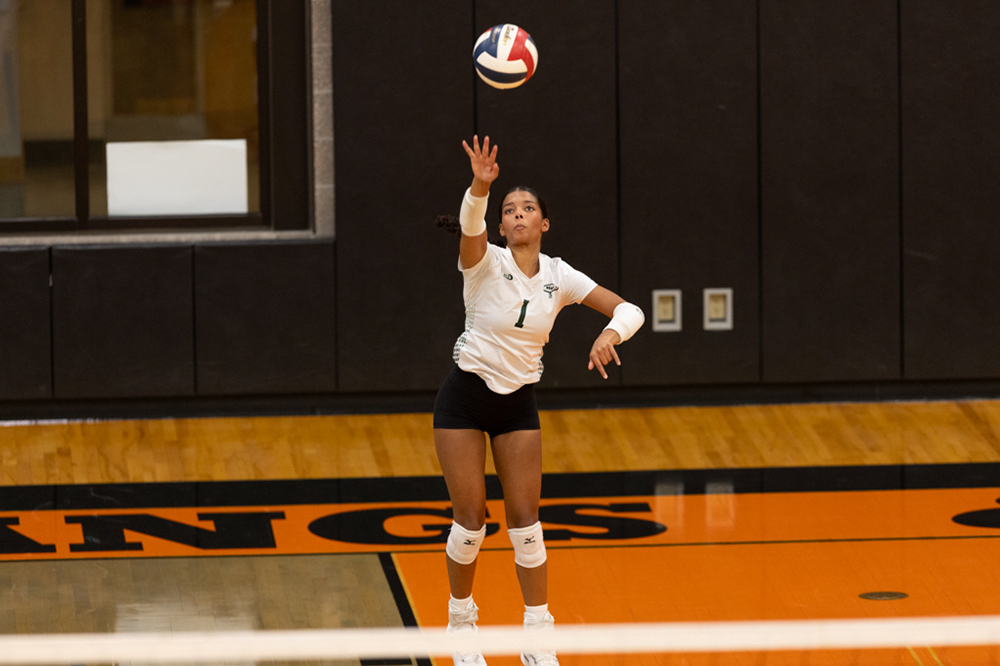 %_tempFileName1M6A6542%