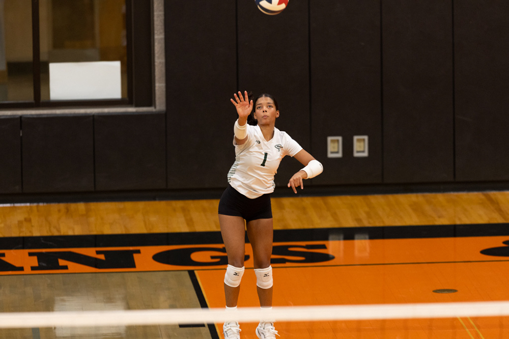 %_tempFileName1M6A6543%