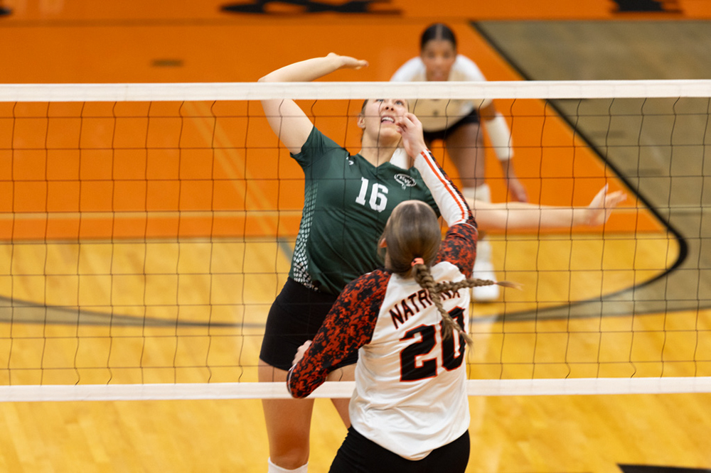 %_tempFileName1M6A6545%