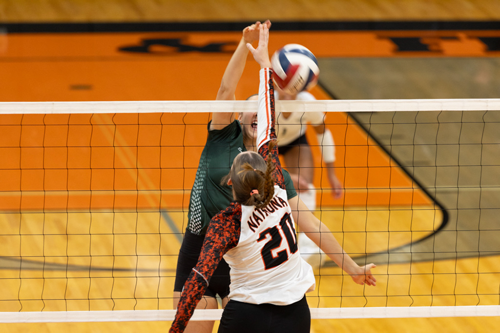 %_tempFileName1M6A6547%