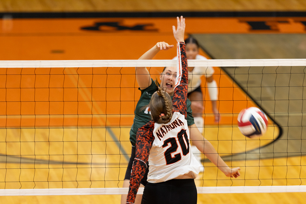 %_tempFileName1M6A6548%