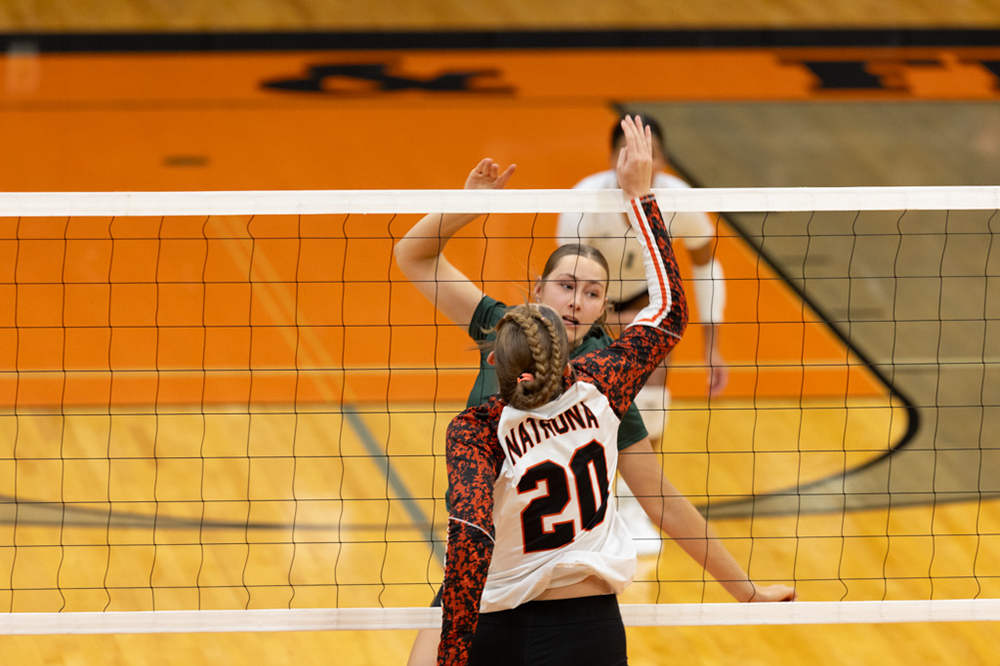 %_tempFileName1M6A6549%