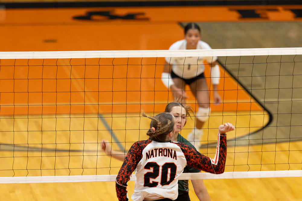 %_tempFileName1M6A6551%