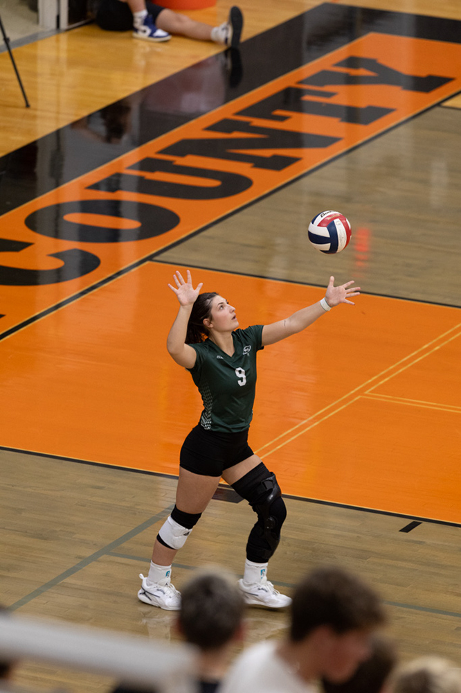 %_tempFileName1M6A6629%