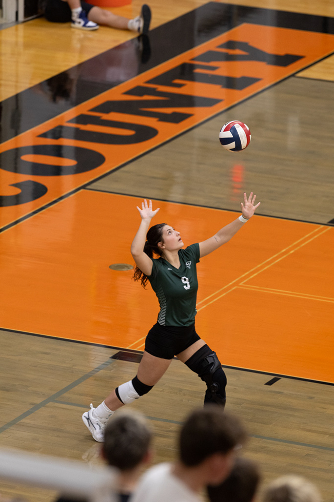 %_tempFileName1M6A6631%