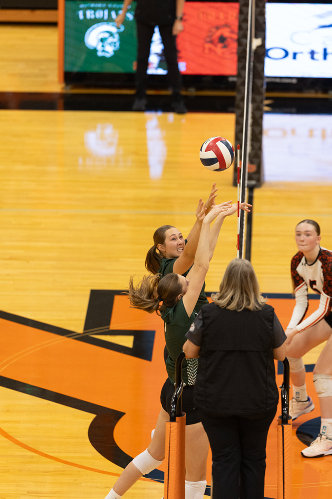 %_tempFileName1M6A6645%