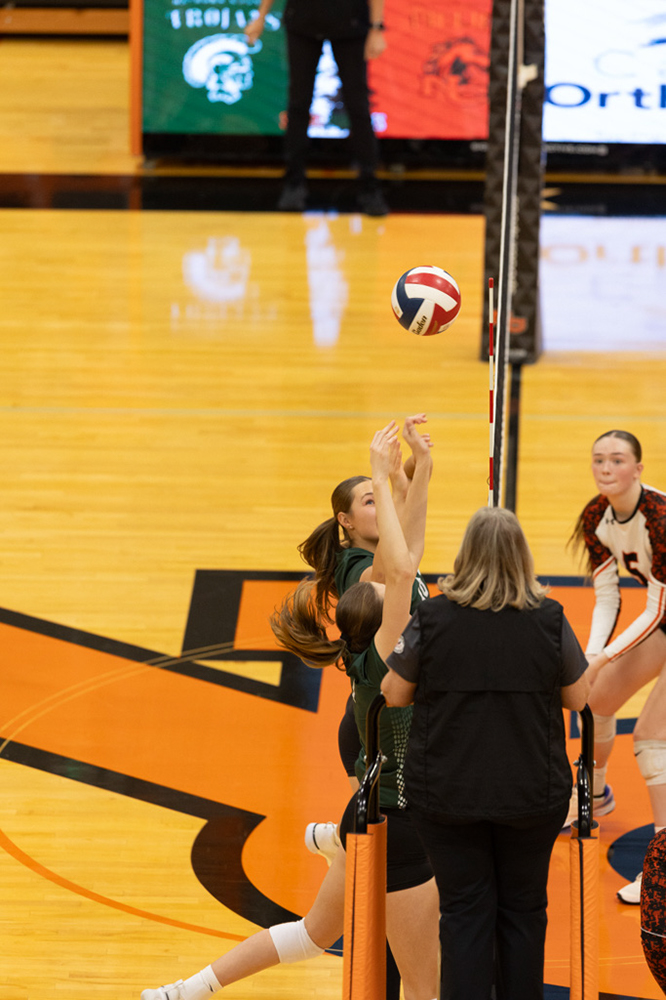 %_tempFileName1M6A6646%