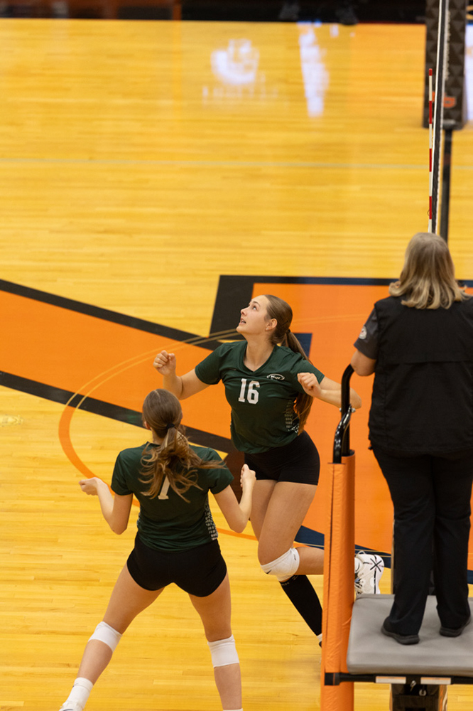 %_tempFileName1M6A6650%