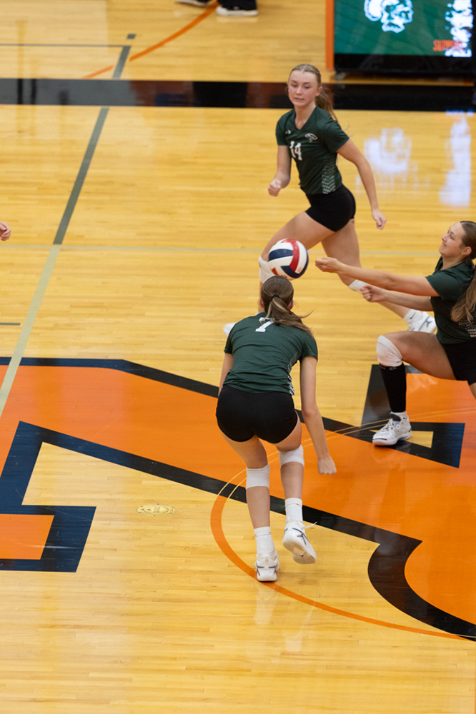 %_tempFileName1M6A6659%